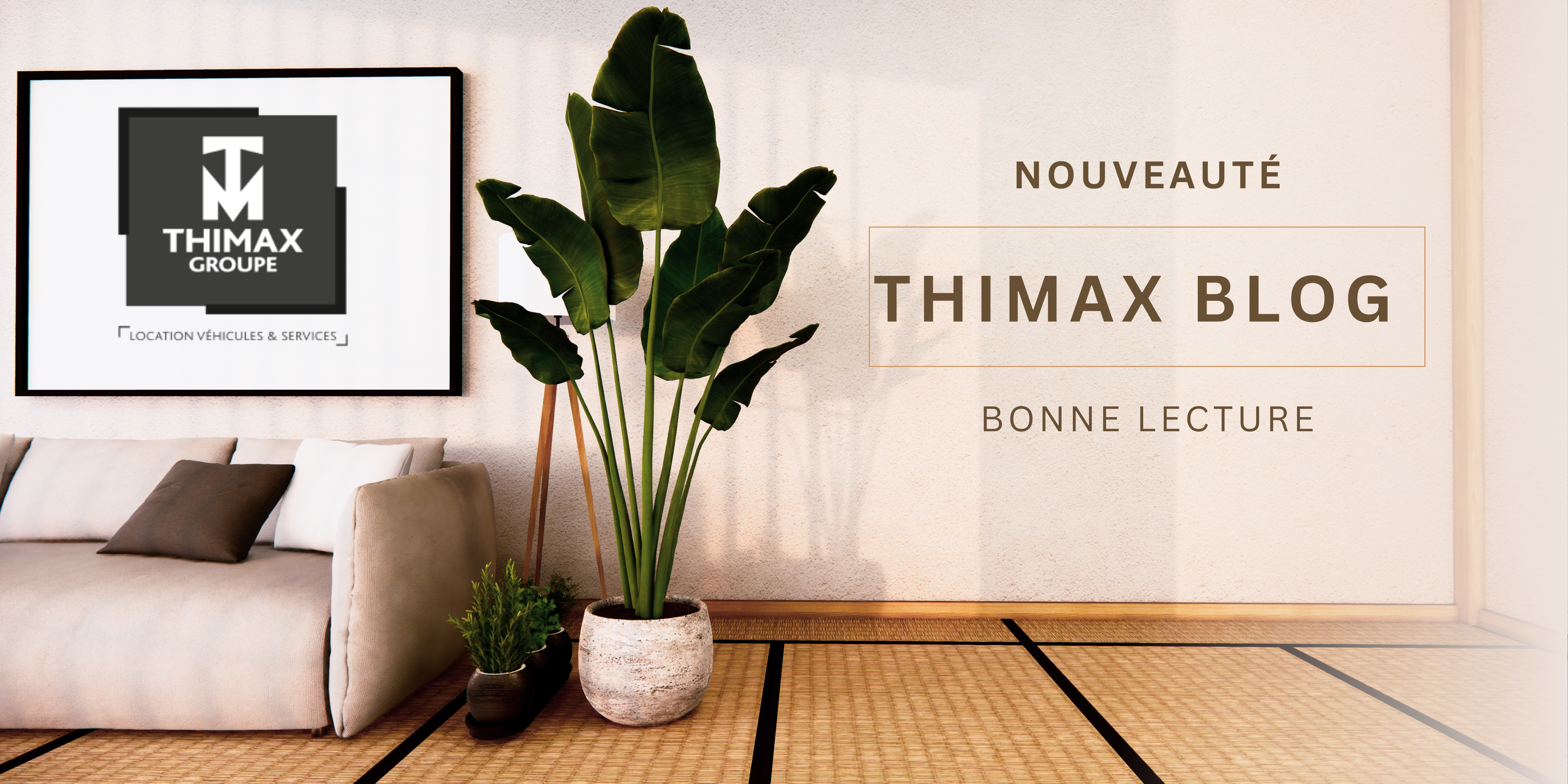 Lecture d'articles du groupe THIMAX